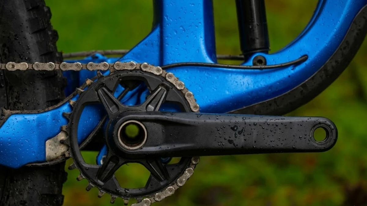 Close-up of a mountain bike crankset with a narrow-wide chainring and chain, resting on a trailside rock.